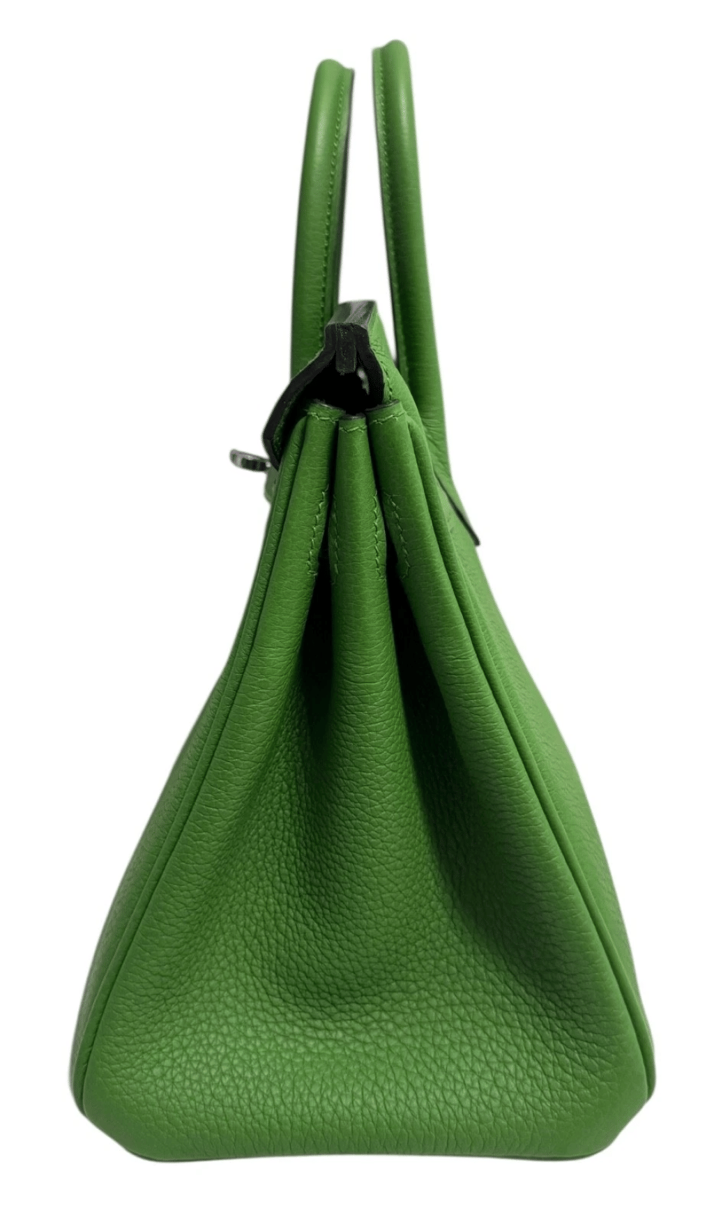 Vert Yucca Togo Leather Birkin 25 Palladium Hardware, 2024