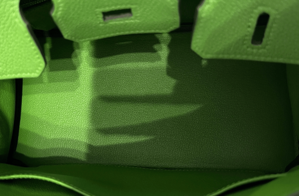 Vert Yucca Togo Leather Birkin 25 Palladium Hardware, 2024