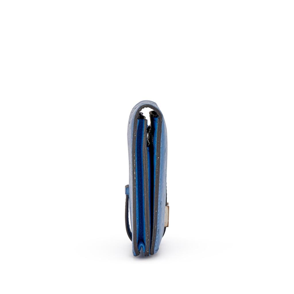 Bleu Mykonos Ostrich Bearn Wallet Palladium Hardware, 2019