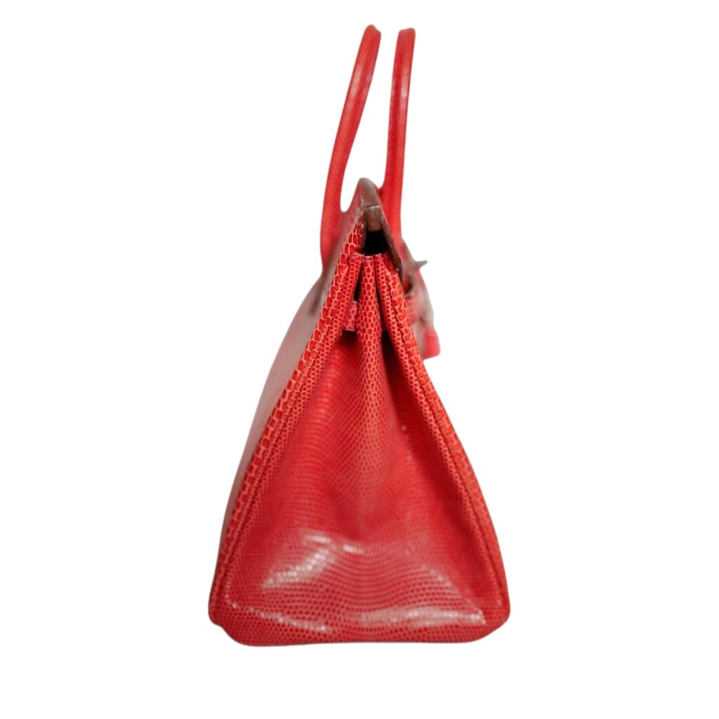 Bougainvillea Lizard Birkin 25 Palladium Hardware, 2014