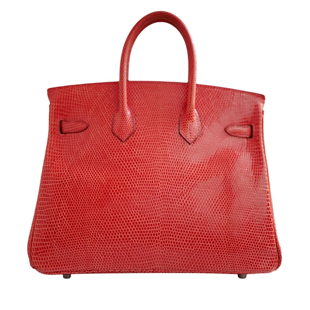 Bougainvillea Lizard Birkin 25 Palladium Hardware, 2014