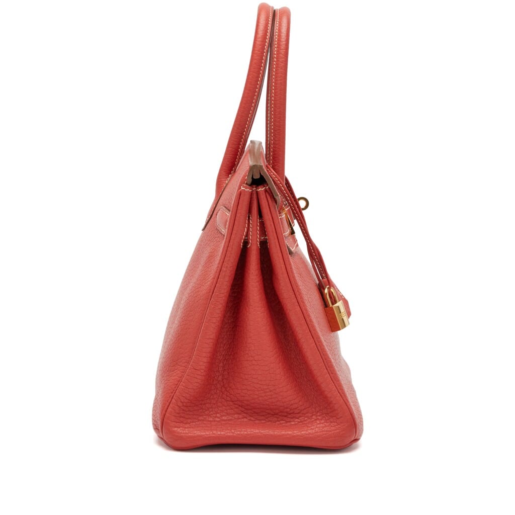 Sanguine Fjord Birkin 30 Gold Hardware, 2013