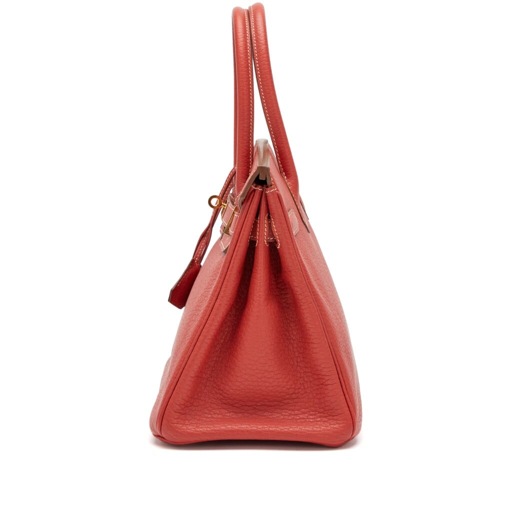 Sanguine Fjord Birkin 30 Gold Hardware, 2013