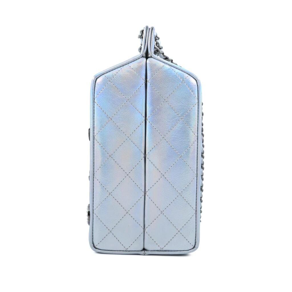 Limited Edition Iridescent Silver Goatskin Lait de Coco Milk Carton Bag Ruthenium Hardware, 2014