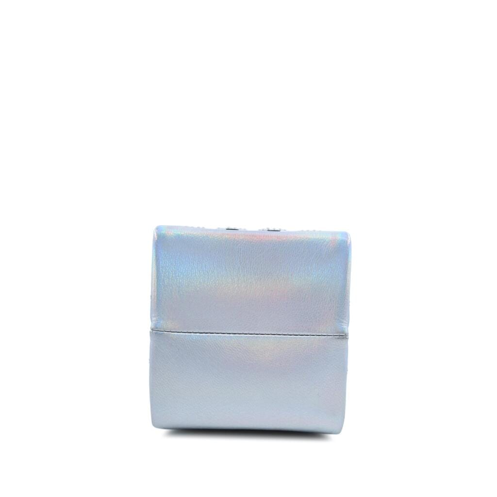 Limited Edition Iridescent Silver Goatskin Lait de Coco Milk Carton Bag Ruthenium Hardware, 2014