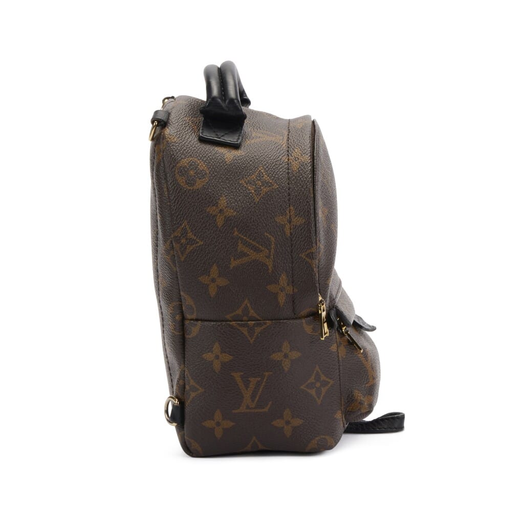Ebene Monogram Coated Canvas Mini Palm Springs Backpack Gold Hardware, 2019