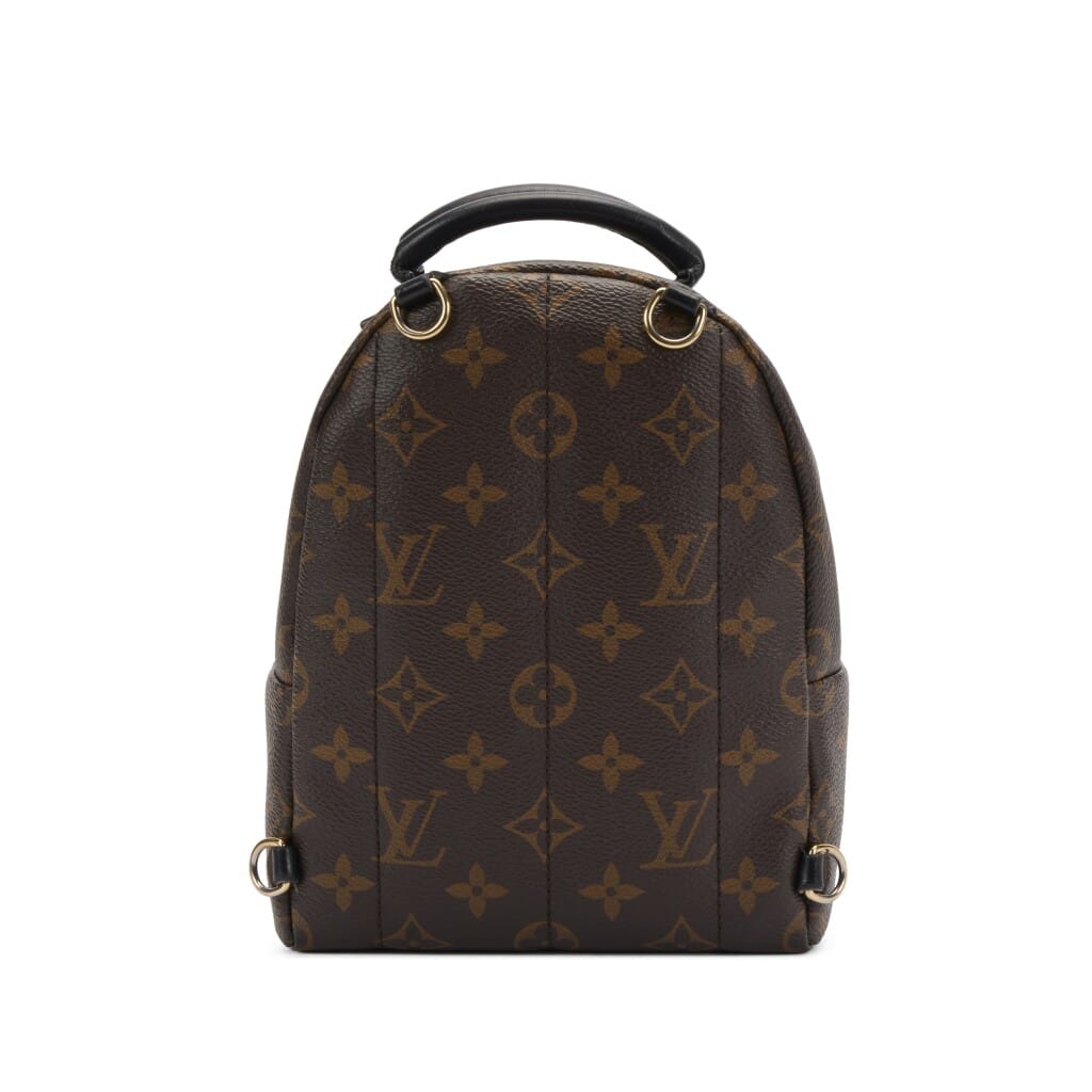Ebene Monogram Coated Canvas Mini Palm Springs Backpack Gold Hardware, 2019