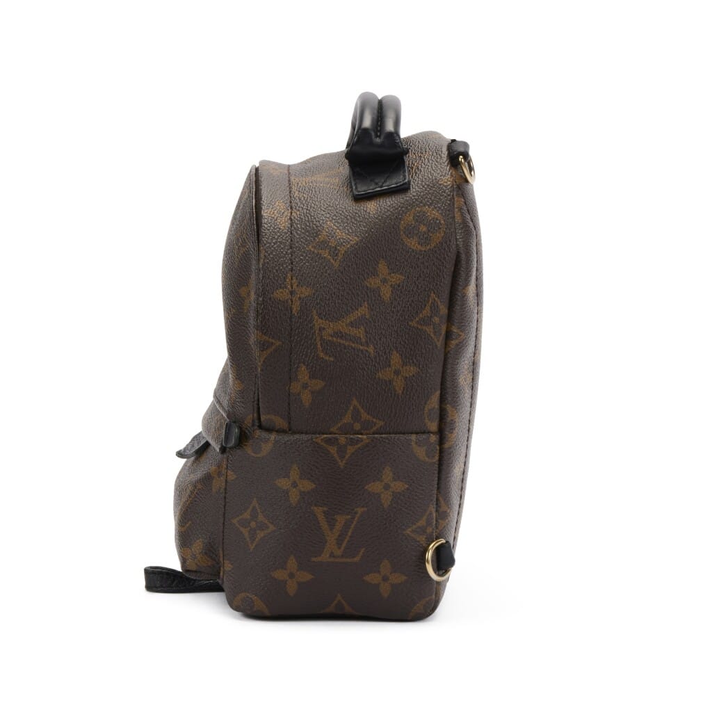 Ebene Monogram Coated Canvas Mini Palm Springs Backpack Gold Hardware, 2019