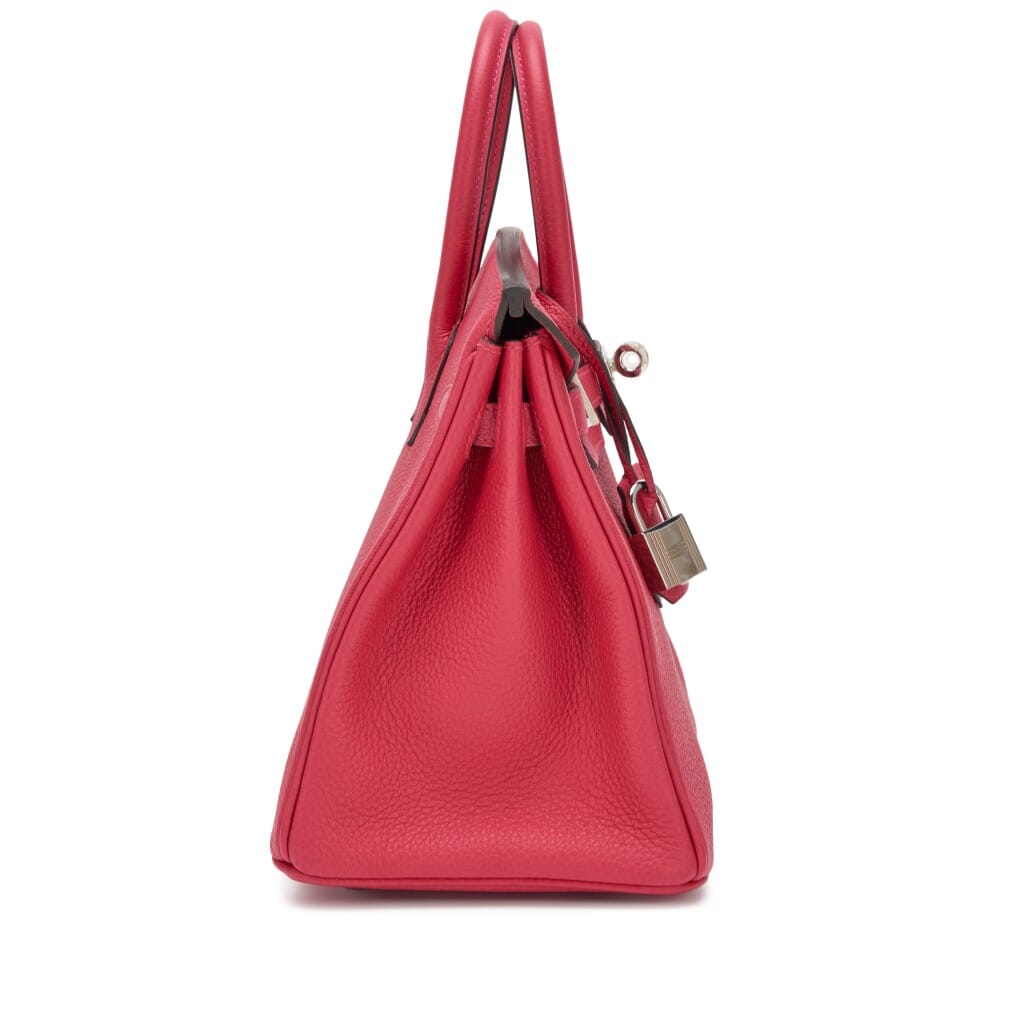 Framboise Togo Birkin 25 Palladium Hardware, 2022