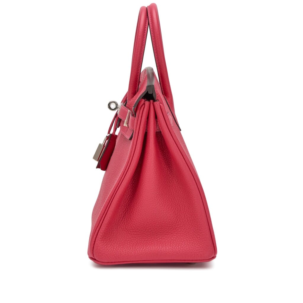 Framboise Togo Birkin 25 Palladium Hardware, 2022