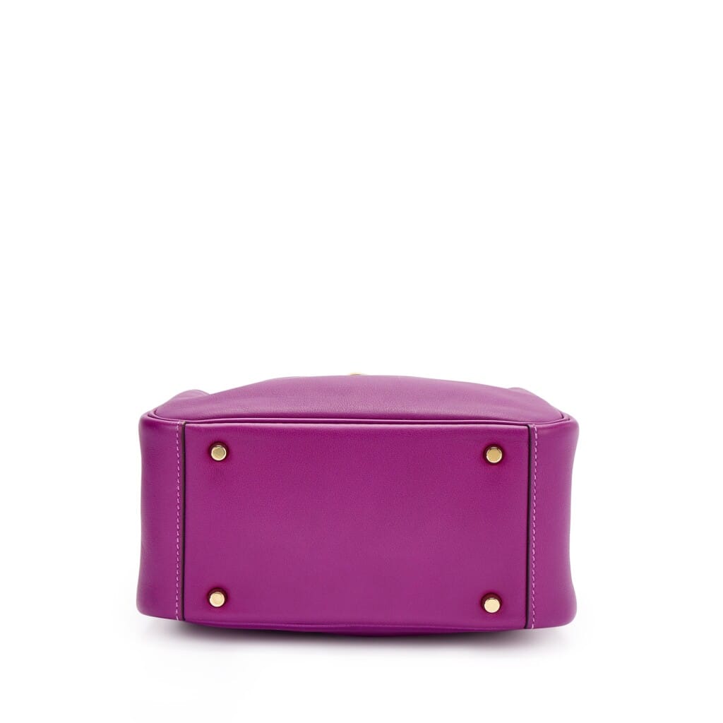 Anemone Swift Mini Lindy 20 Gold Hardware, 2020