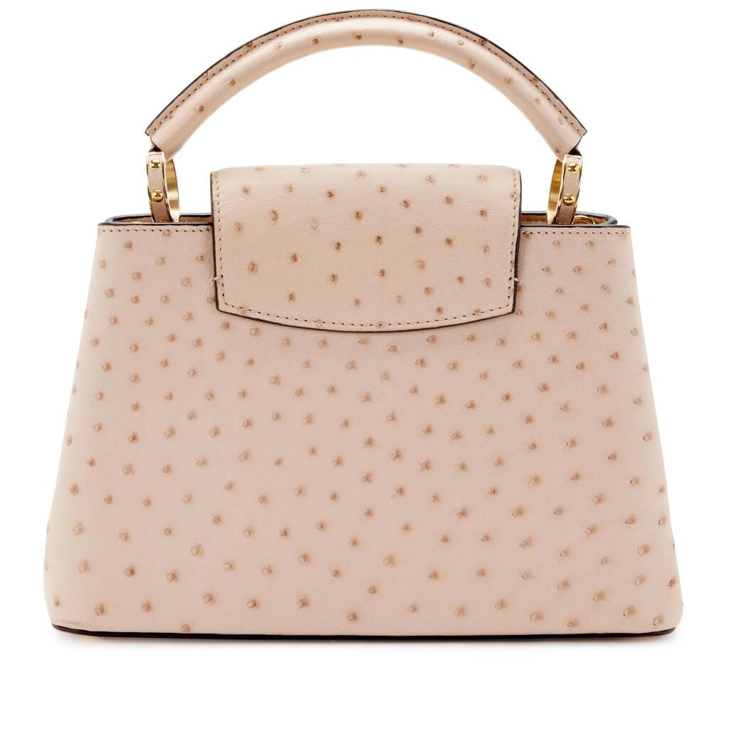 Rose Poudre Ostrich Capucines BB Gold Hardware, 2020