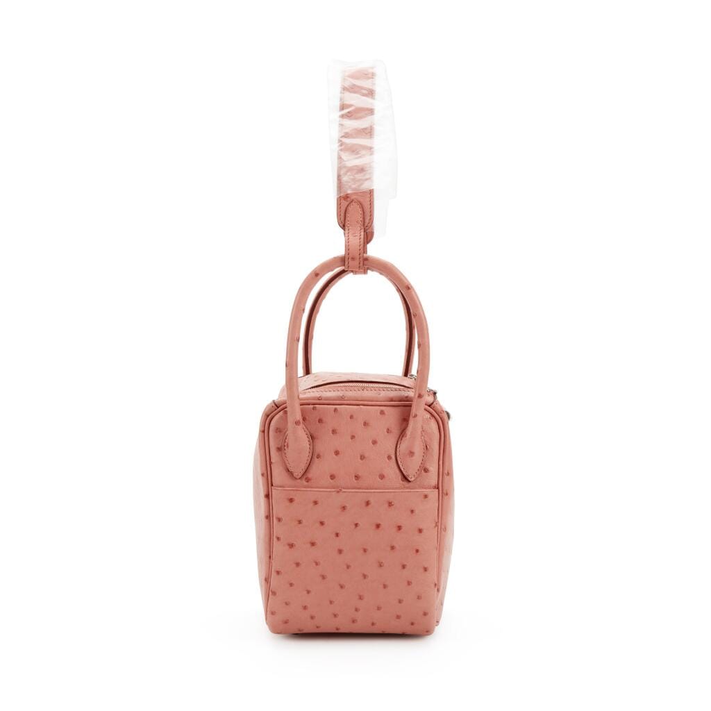 Terre Cuite Ostrich Lindy 26 Palladium Hardware, 2015