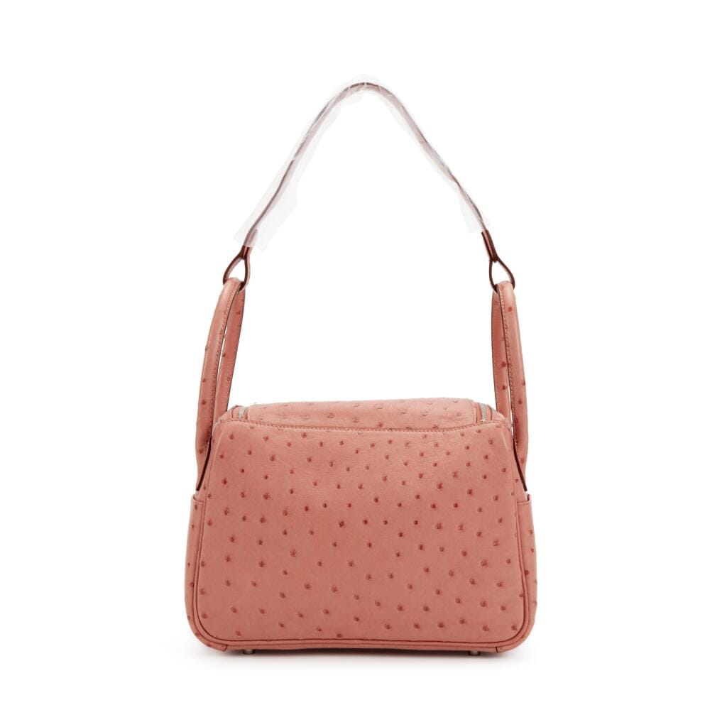 Terre Cuite Ostrich Lindy 26 Palladium Hardware, 2015