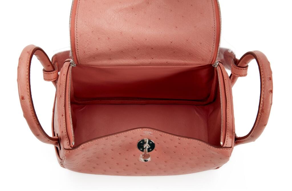 Terre Cuite Ostrich Lindy 26 Palladium Hardware, 2015