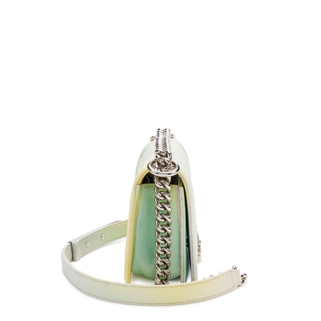 Rainbow Quilted Caviar Small Rainbow Boy Silver Hardware, 2018