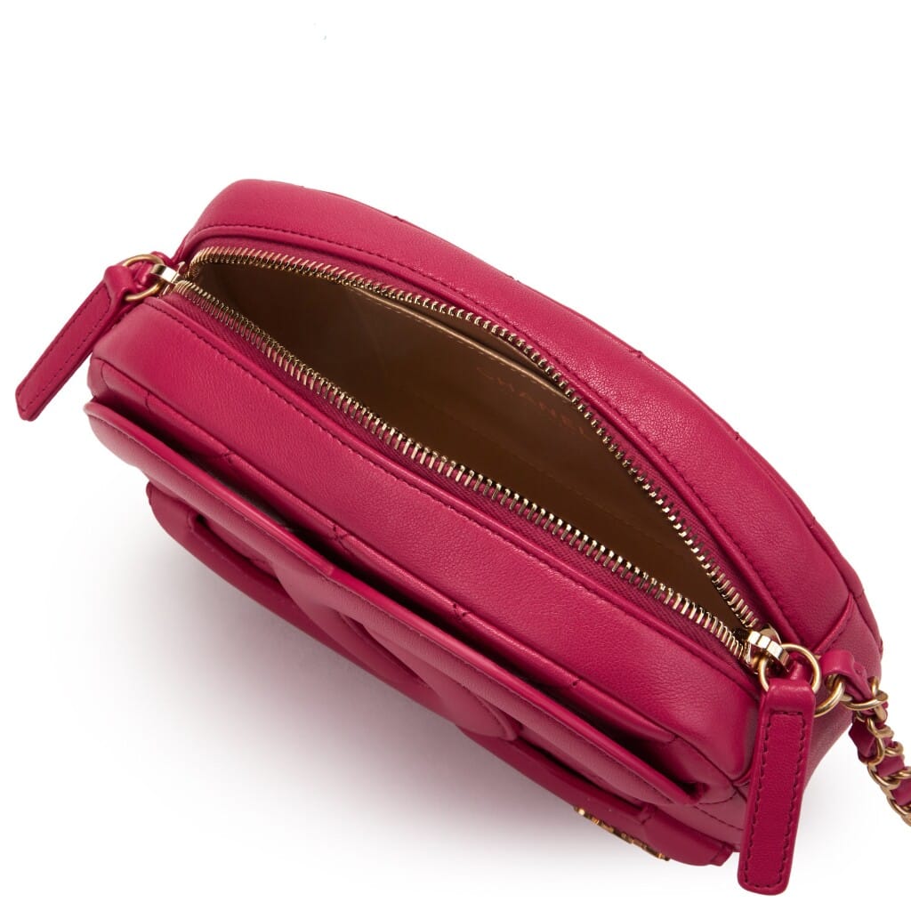 Pink Quilted Lambskin Coco Midnight Camera Bag Gold Hardware, 2020