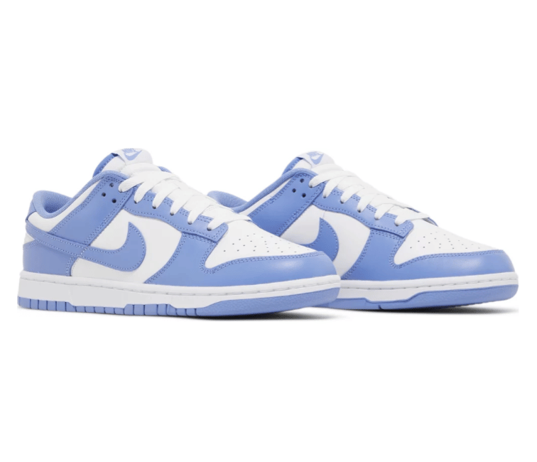 Nike Men's Nike Dunk Low Retro (Polar Blue)