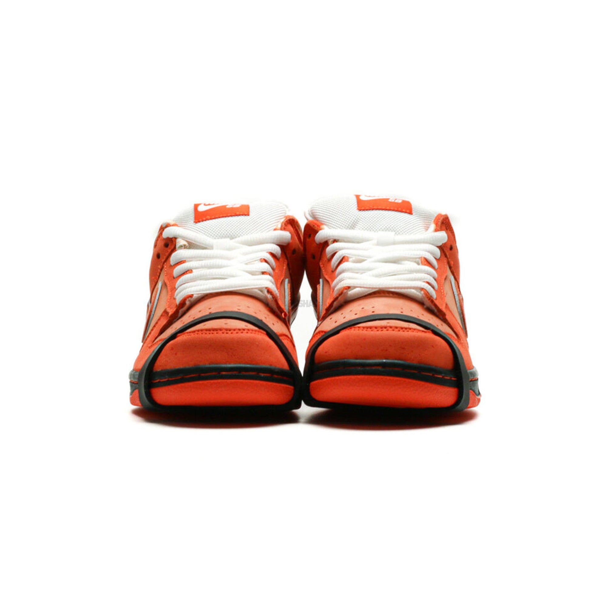 Nike SB Dunk Low x Concepts Orange Lobster (2022)