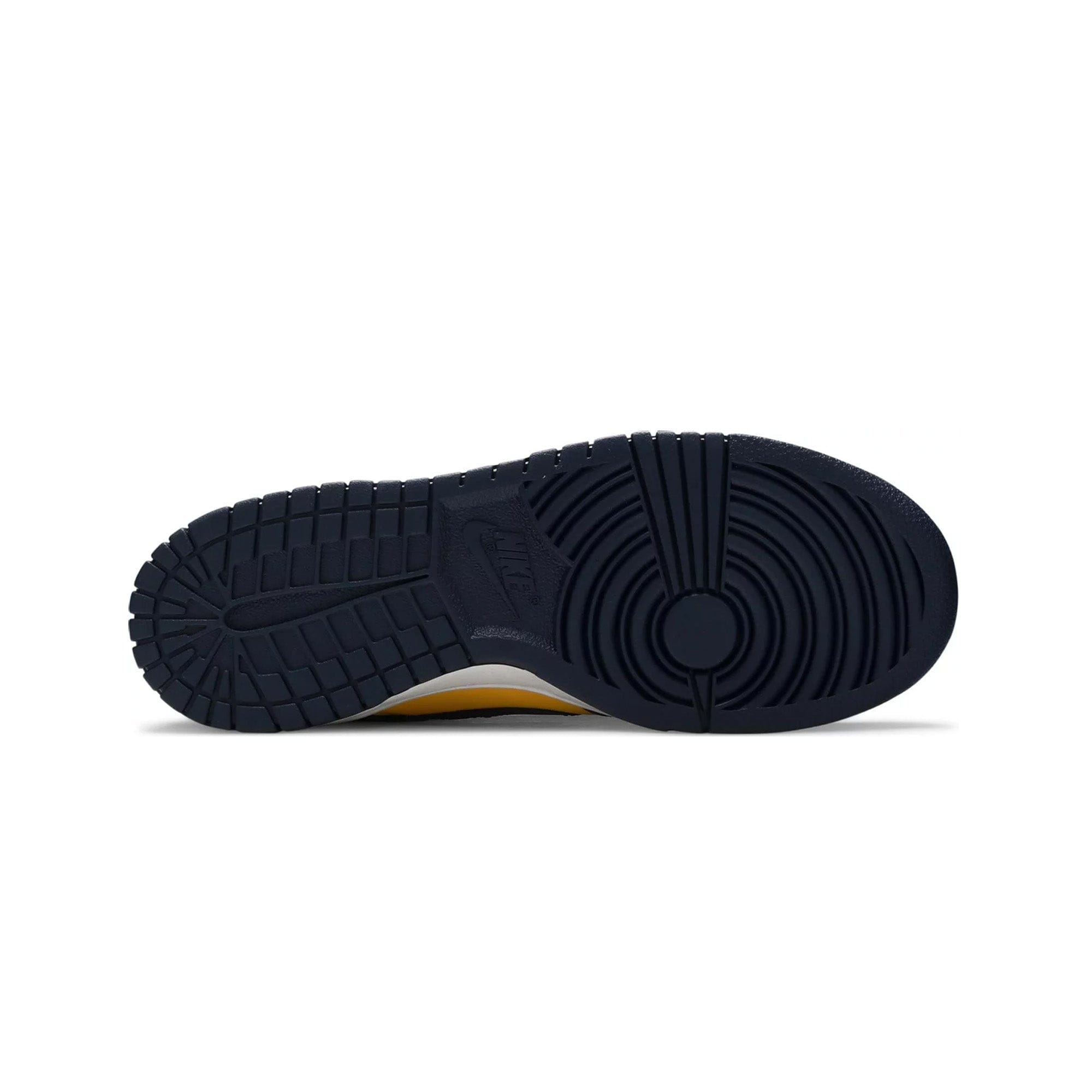 Nike Dunk Low Michigan GS