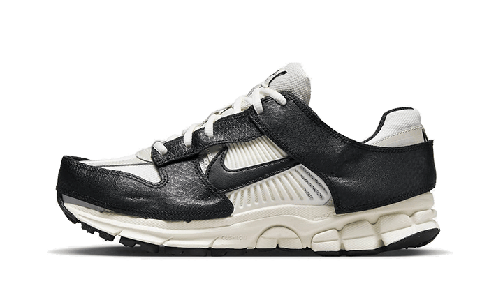 Nike Zoom Vomero 5 Timeless Panda Dunk