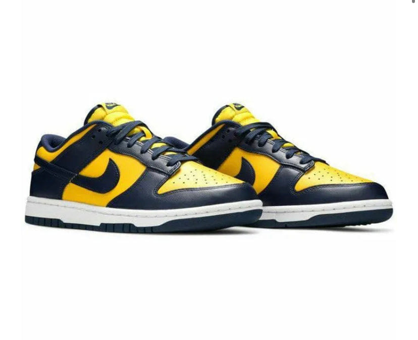 Nike Dunk Michigan Low