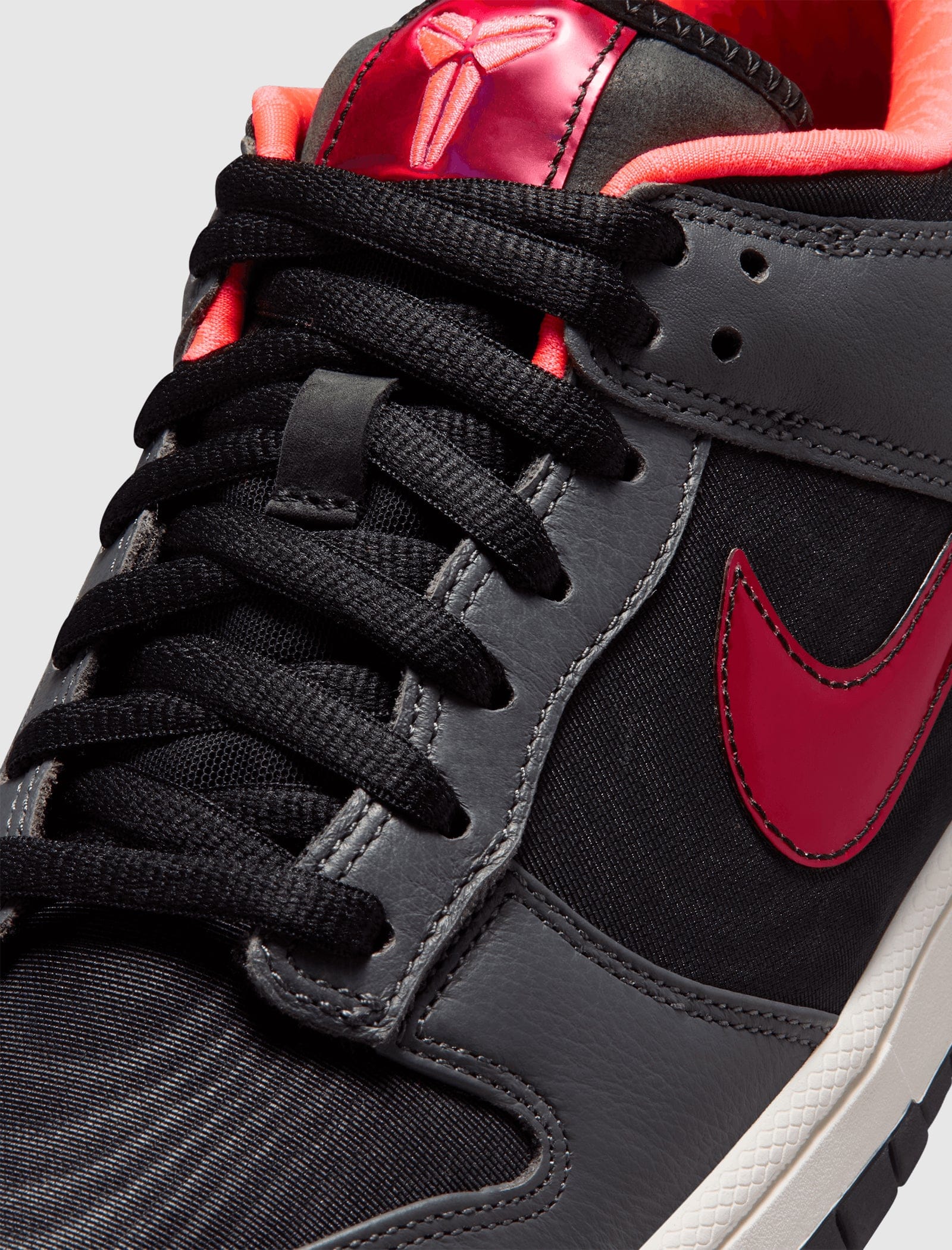 Nike DUNK LOW PROTRO