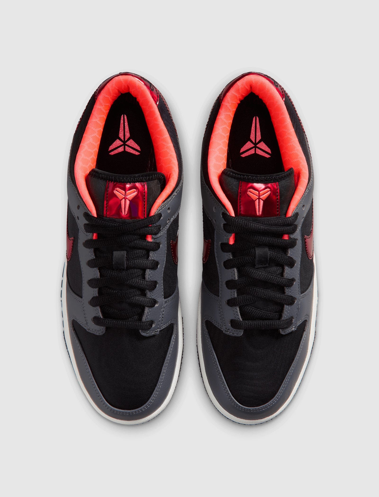 Nike DUNK LOW PROTRO