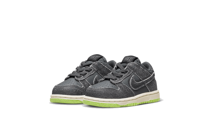 Nike Dunk Low Swoosh Shadow Iron Grey Bébé (TD)