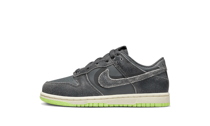 Nike Dunk Low Swoosh Shadow Iron Grey Enfant (PS)