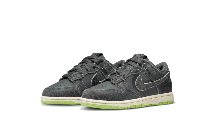 Nike Dunk Low Swoosh Shadow Iron Grey Enfant (PS)