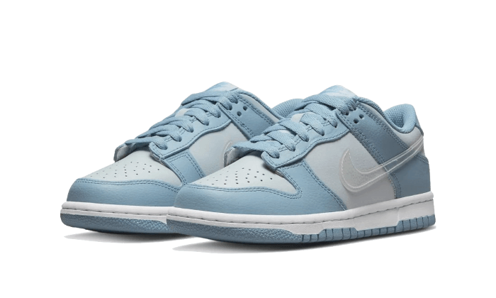 Nike Dunk Low Clear Swoosh
