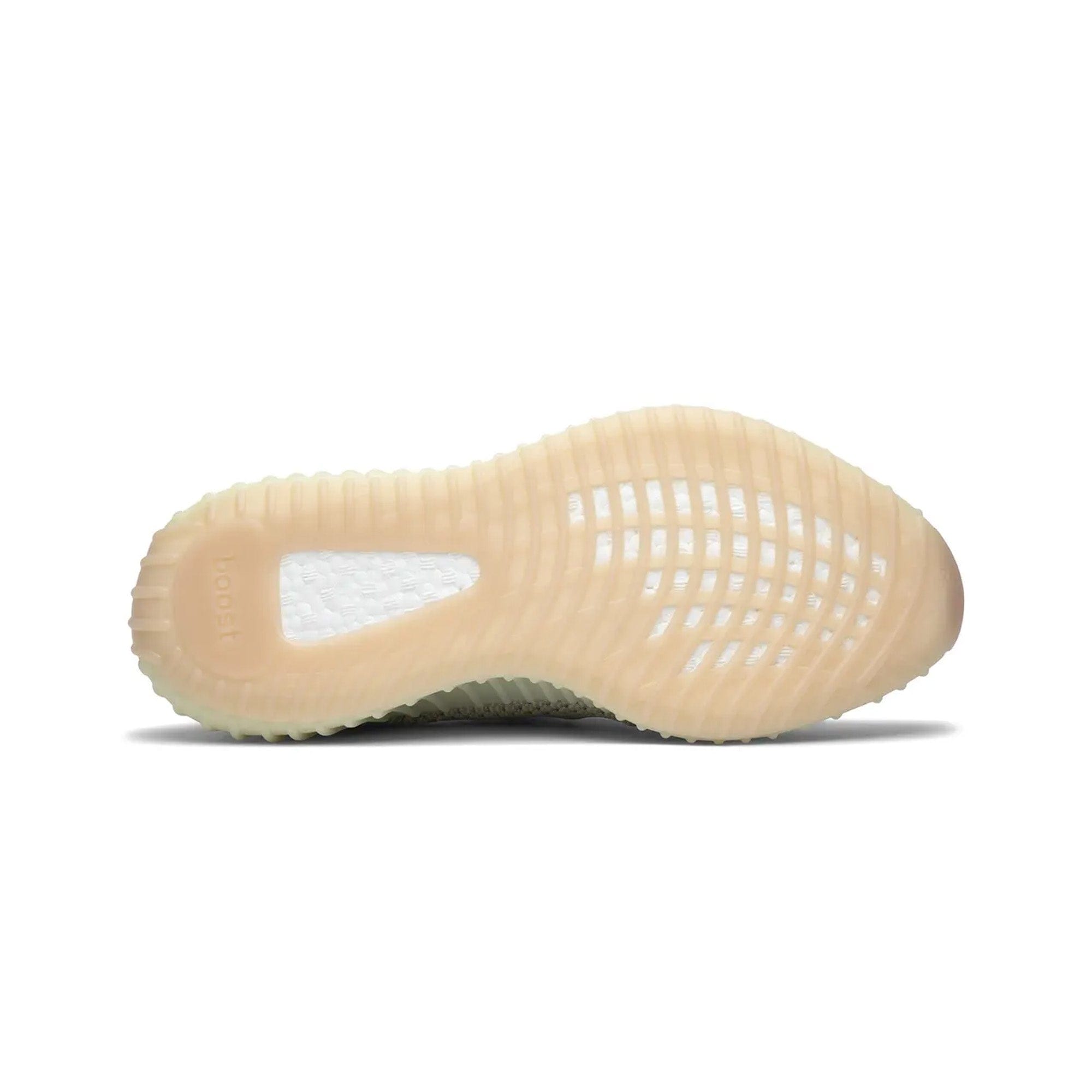 adidas Yeezy Boost 350 V2 Antlia (New)