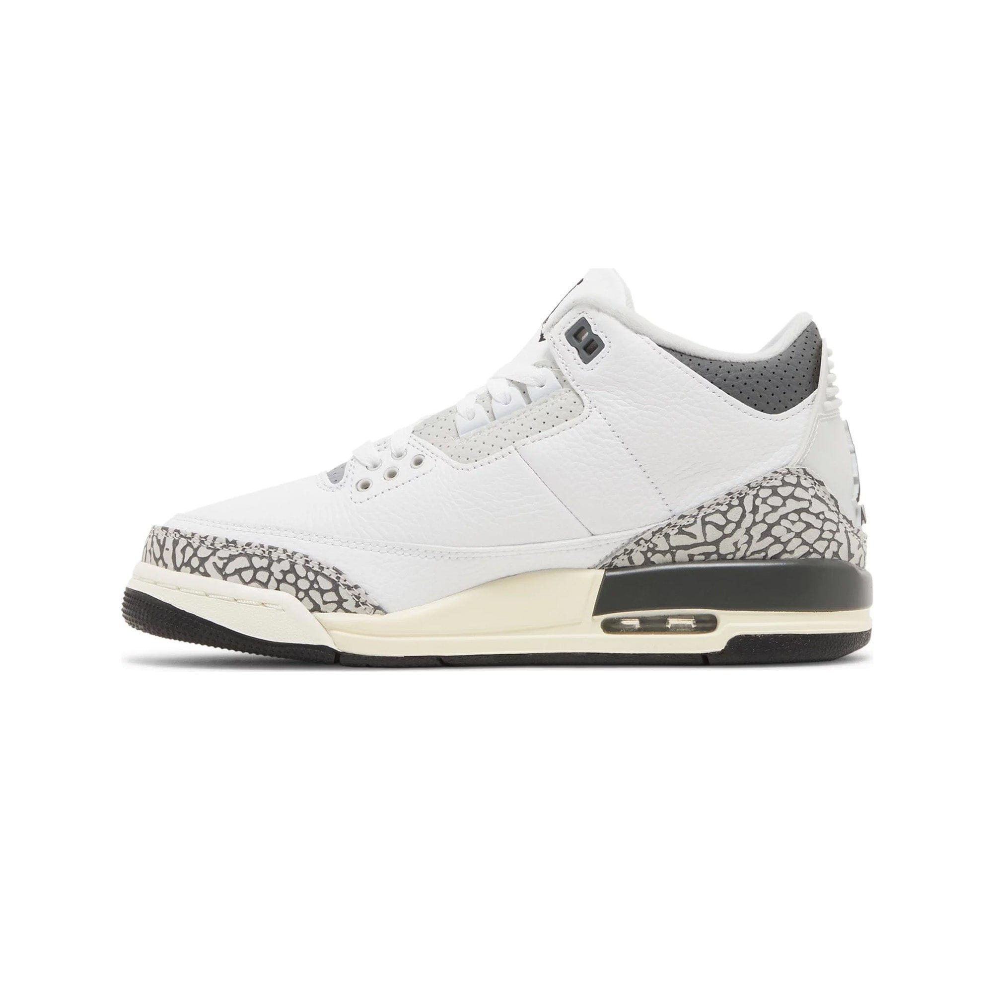 Air Jordan 3 Retro Hide N Sneak' GS (2023)