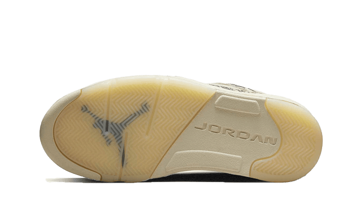 Air Jordan 5 Low Expression