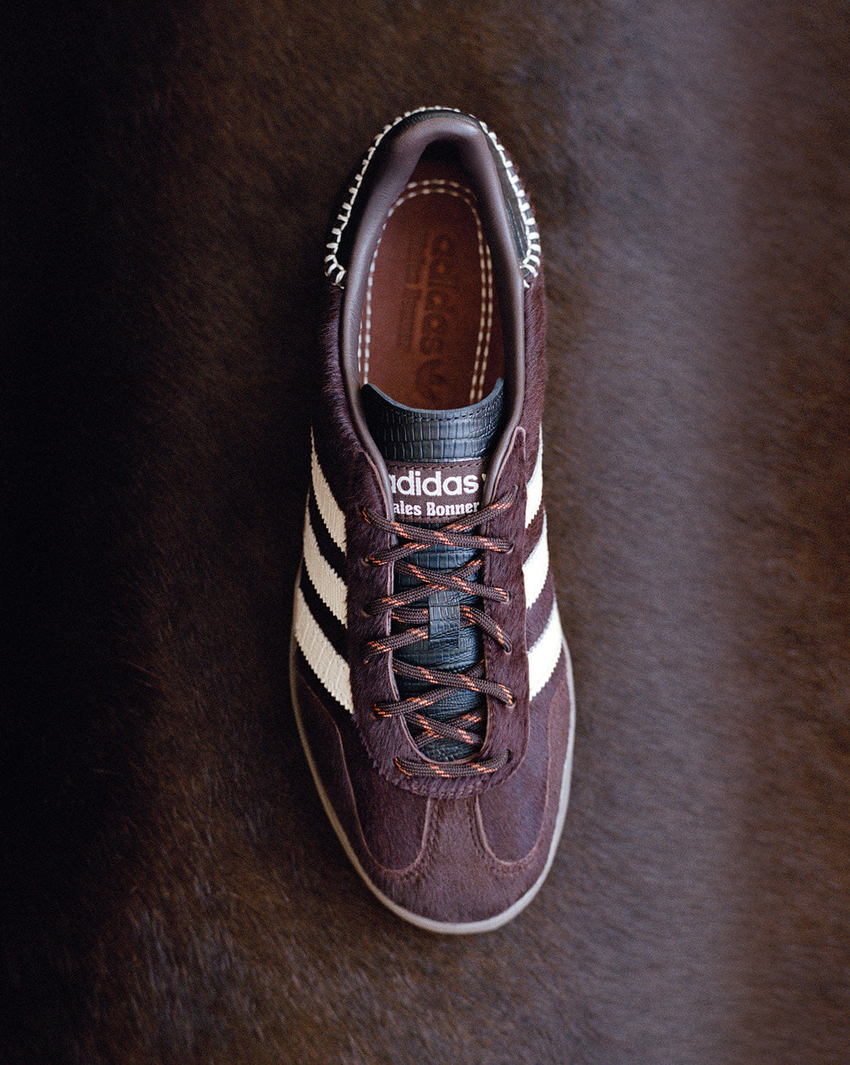 adidas x Wales Bonner Gazelle *Pony*