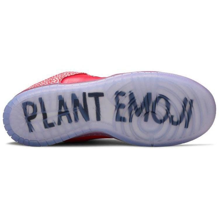 Nike Stingwater x Dunk Low SB Magic Mushroom