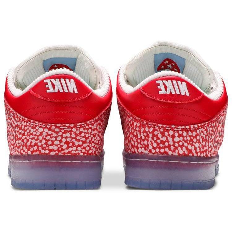 Nike Stingwater x Dunk Low SB Magic Mushroom