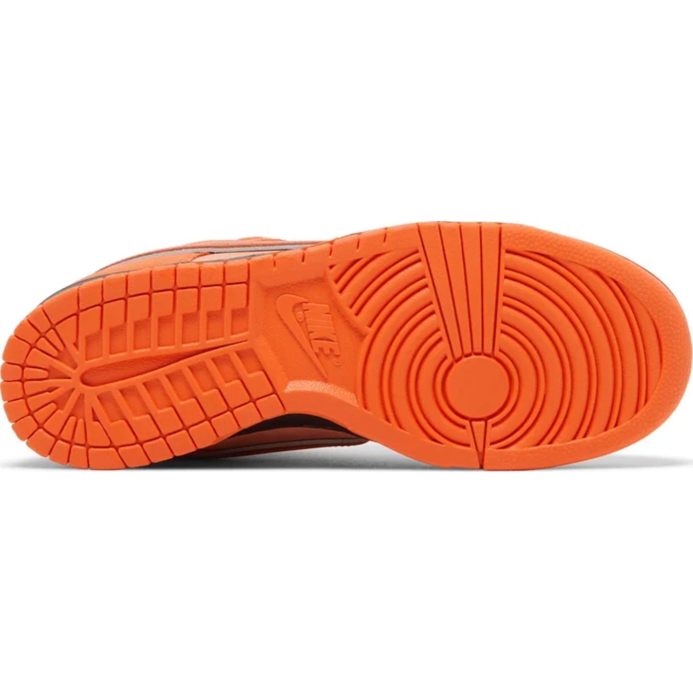 Nike Concepts x Nike SB Dunk Low Orange Lobster