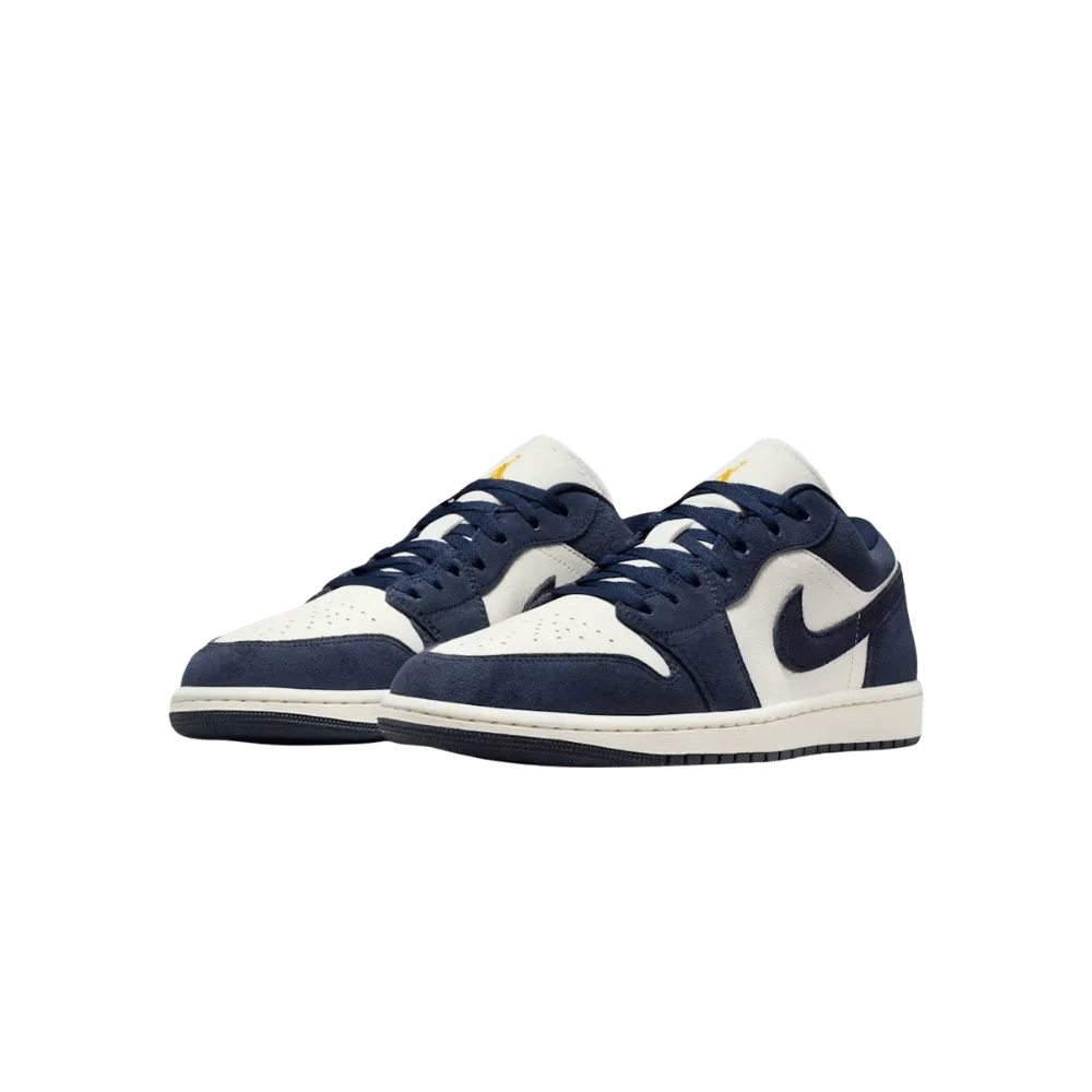 Air Jordan 1 Low SE Obsidian Suede