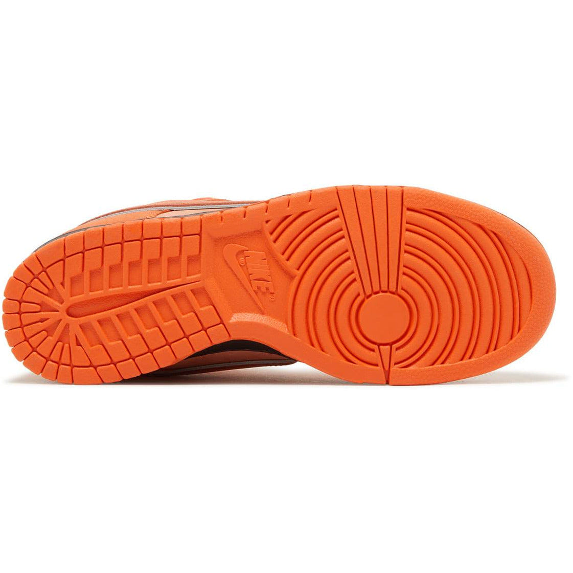 Nike Concepts x Dunk Low SB Orange Lobster (2022)