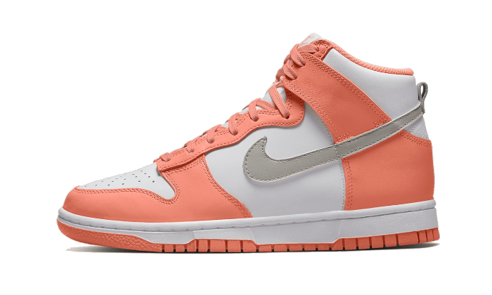 Nike Dunk High Salmon Grey