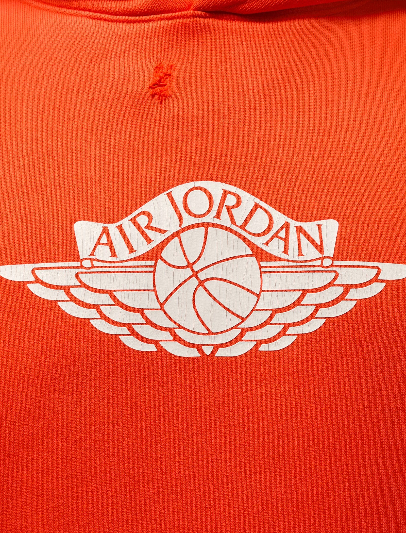 Air Jordan RARE AIR HOODIE