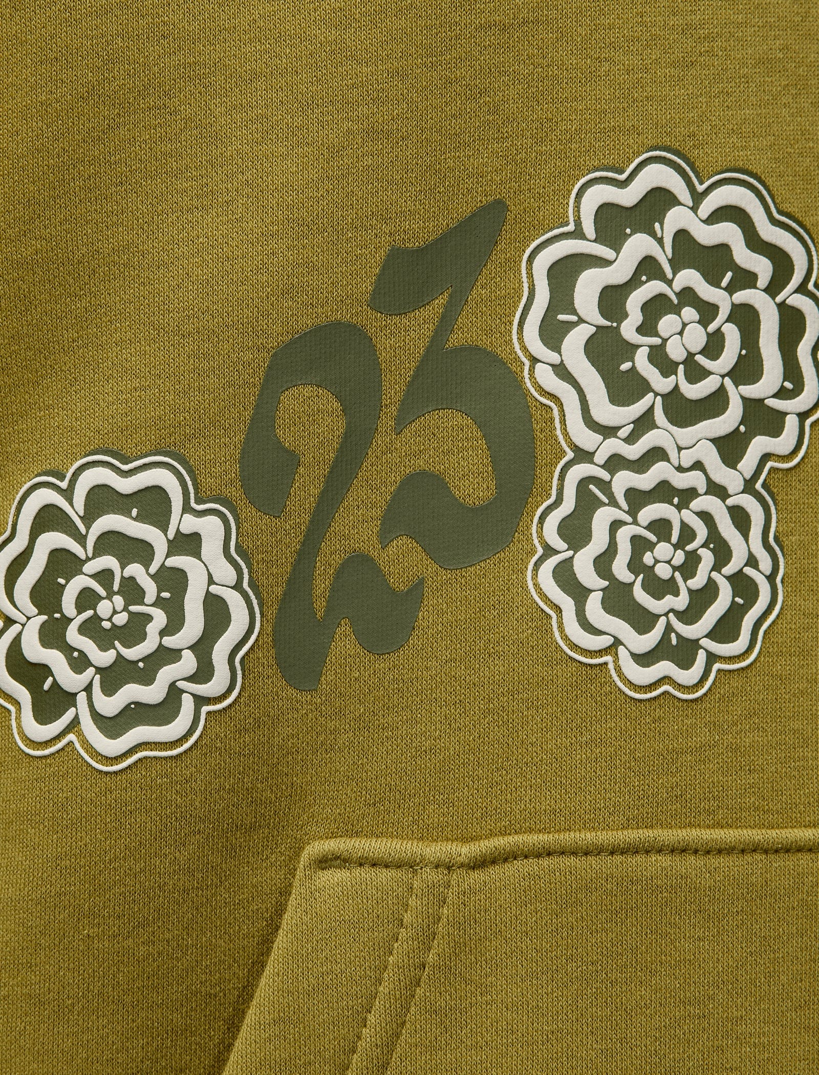 Air Jordan BROOKLYN FLEECE HOODIE