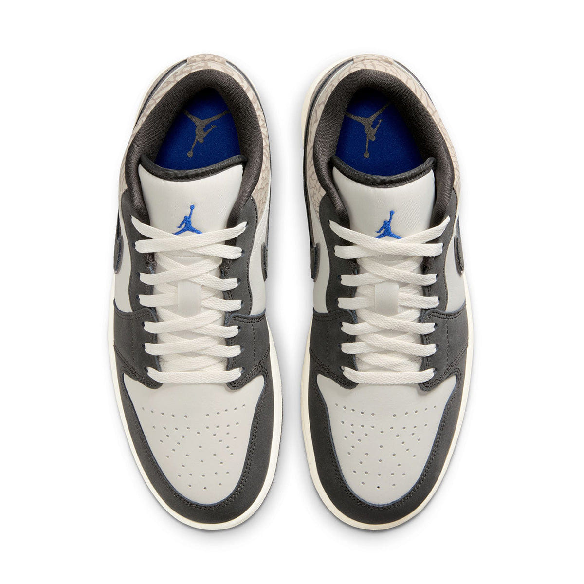 Air Jordan 1 Low SE SAIL/GAME ROYAL/DEEP PEWTER/GAMMA GREY