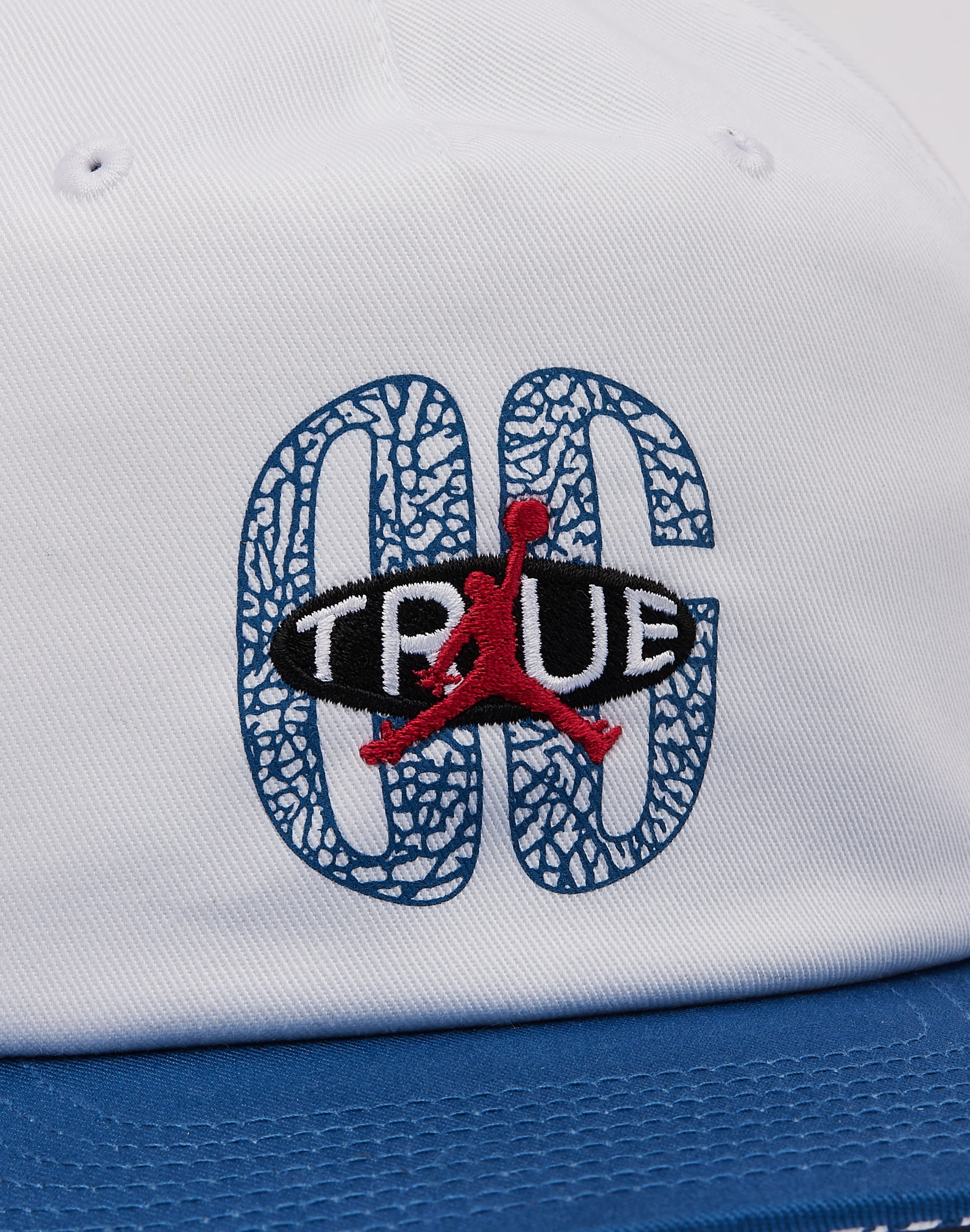 Air Jordan Jordan True Blue Pro Cap
