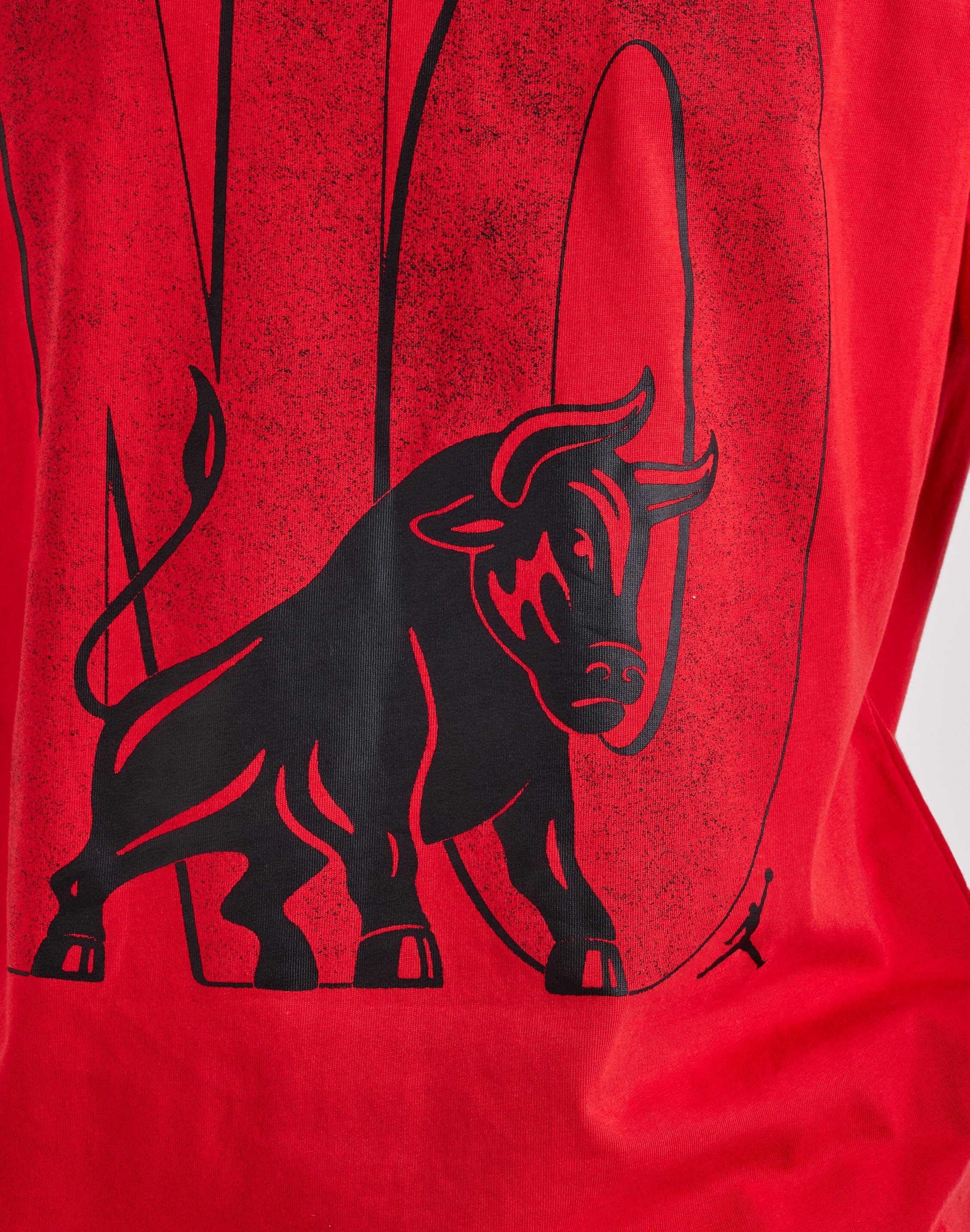 Air Jordan Jordan Toro Graphic T-Shirt