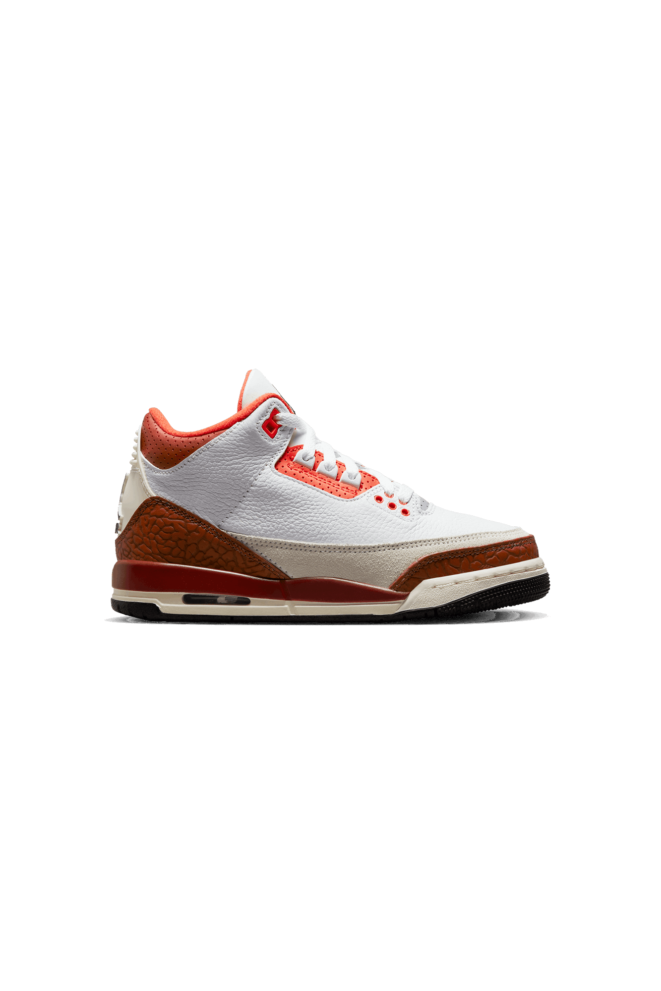 Air Jordan 3 Retro SE Mars Stone (GS)