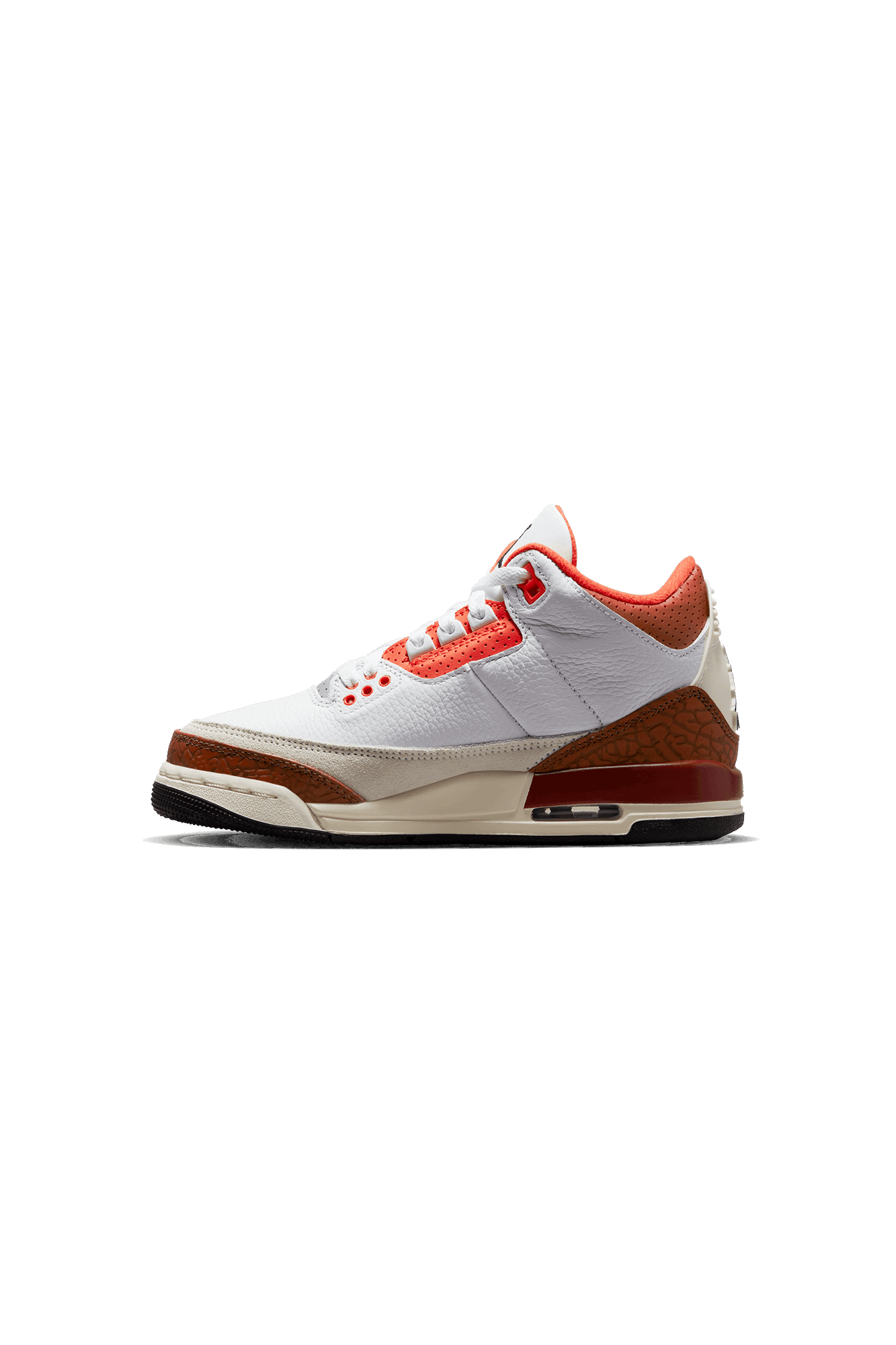 Air Jordan 3 Retro SE Mars Stone (GS)