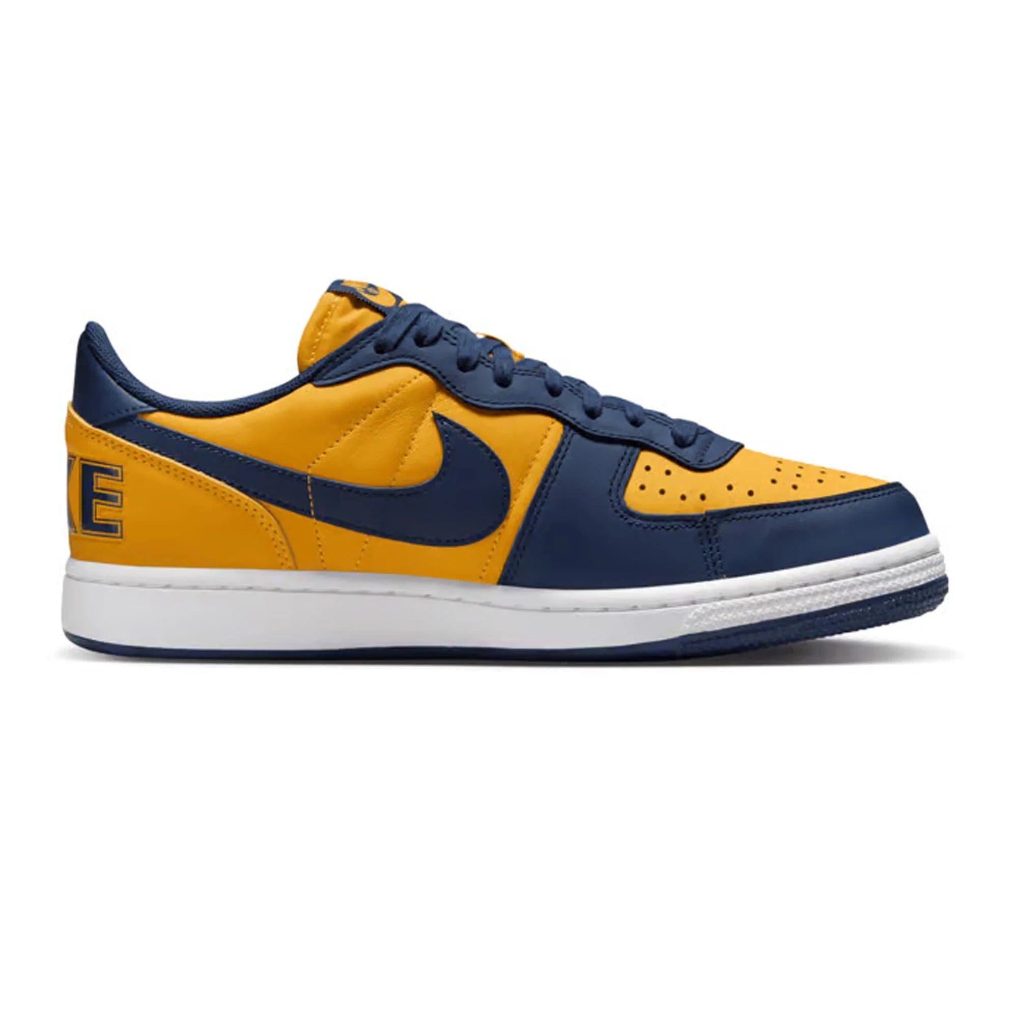 Nike Terminator Low Michigan (2023)